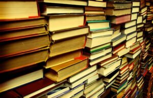 rentrée littéraire - Rentrée Littéraire 2013 - Dossier spécial à venir livres