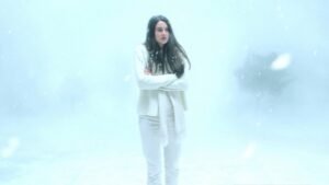 Gregg Araki - White Bird : in a bizarre White Bird in a Blizzard
