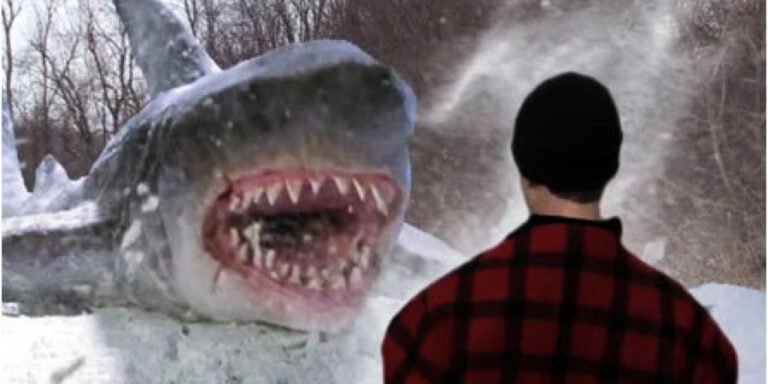 avalanche sharks