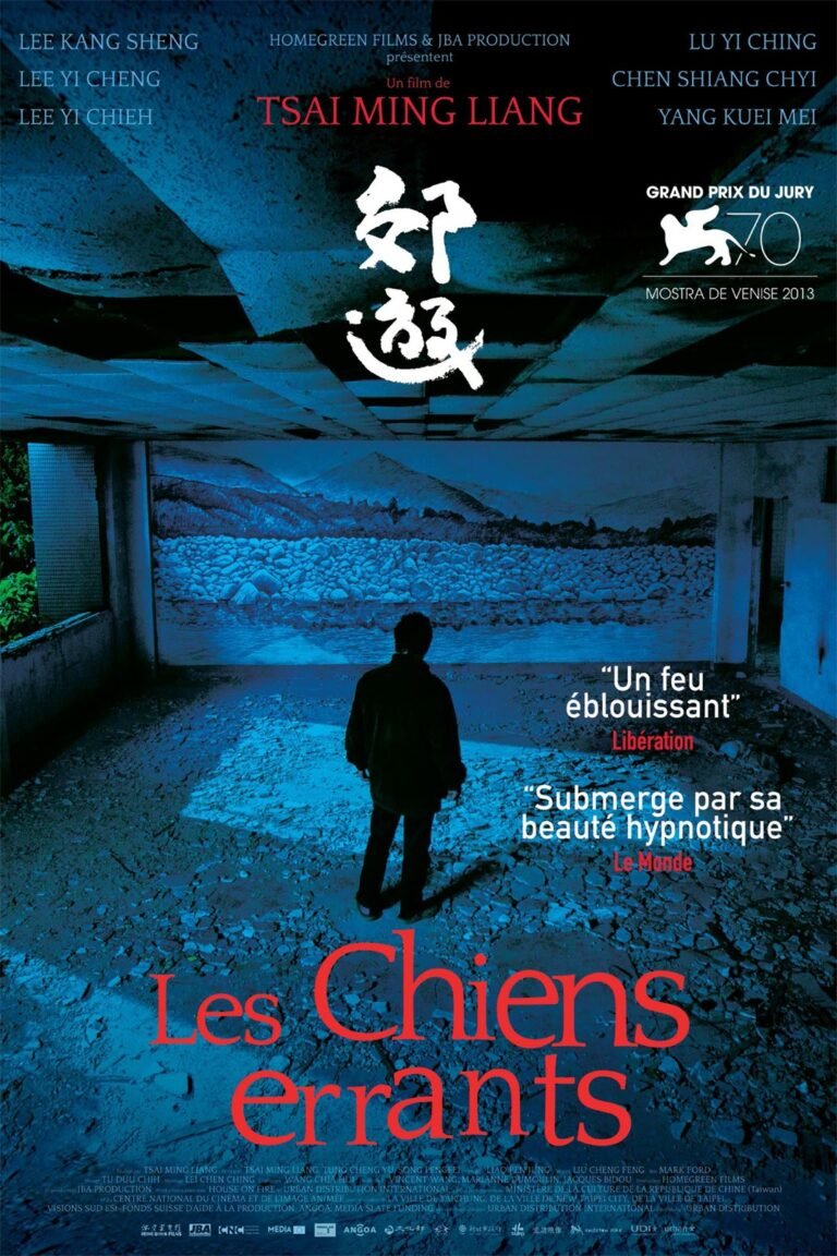 Les Chiens Errants : Enragés et statiques