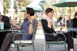 nbc - A To Z (NBC) : Andy and Zelda, Sitting in A Tree, R-O-M-A-N-C-I-N-G.... A To Z