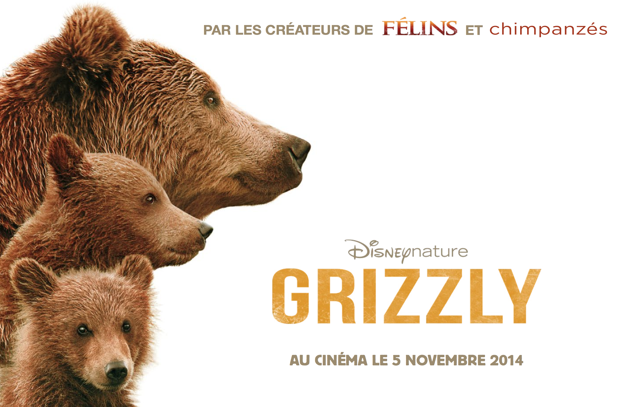 Disneynature - Grizzly : Petit Ours Brun à l'école de la vie Capture d’écran 2014 10 01 à 21.37.46