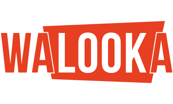 Interviews - Walooka : les séries que vous ne connaissez pas en streaming légal