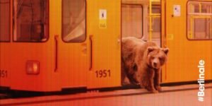 festival - Festival La Berlinale 2016 du 11 au 21 février 66 berlinale 560