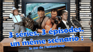 nostalgie - 3 séries, 1 même scénario (Manimal, Le Magicien et Caraïbes Offshore) VHS enfant loup