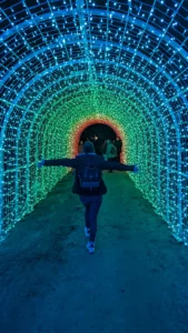 Lumières en Seine - Lumières en Seine 2025 : de retour au Domaine National de Saint-Cloud lumieres en seine 2025 6