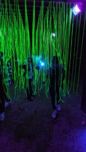 Lumières en Seine - Lumières en Seine 2025 : de retour au Domaine National de Saint-Cloud lumieres en seine 2025 1